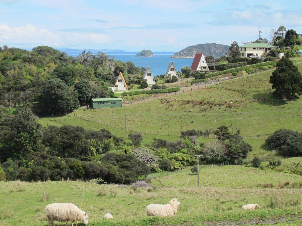 Pohutukawa Coastal Chalets Coromandel Exteriér fotografie